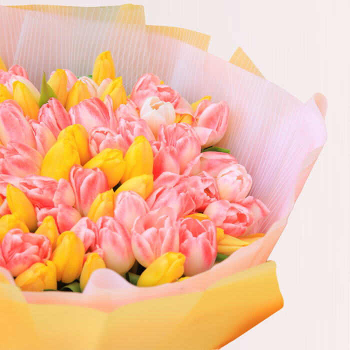 Sweet and Charismatic Tulips - Image 2