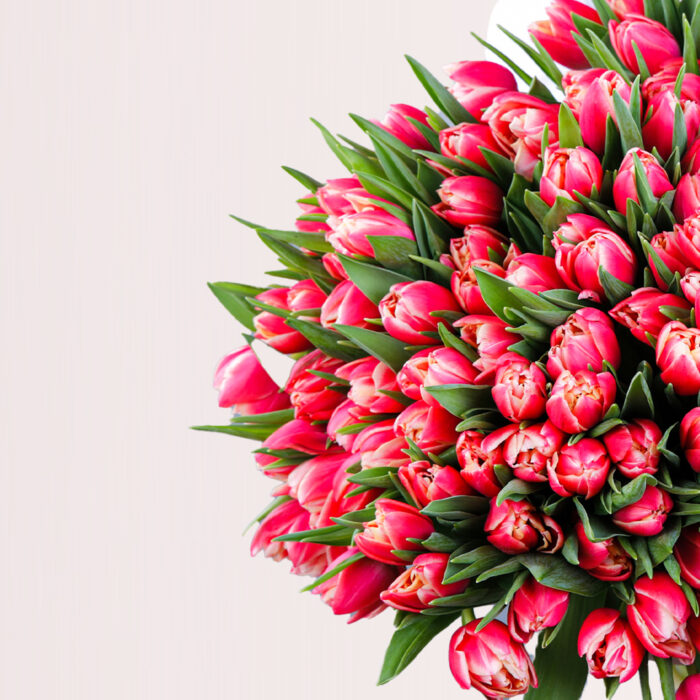 Rare Beauty – Tulips - Image 2