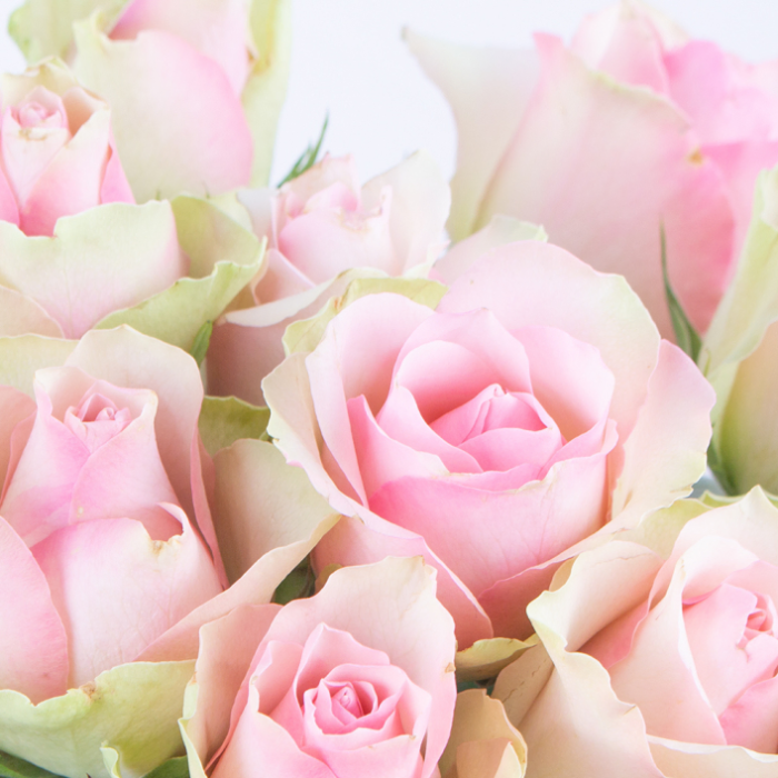 40 Pastel Roses (40cm) - Image 2