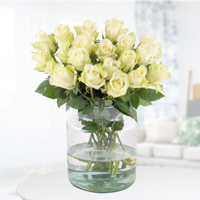 20 White Roses (40cm)