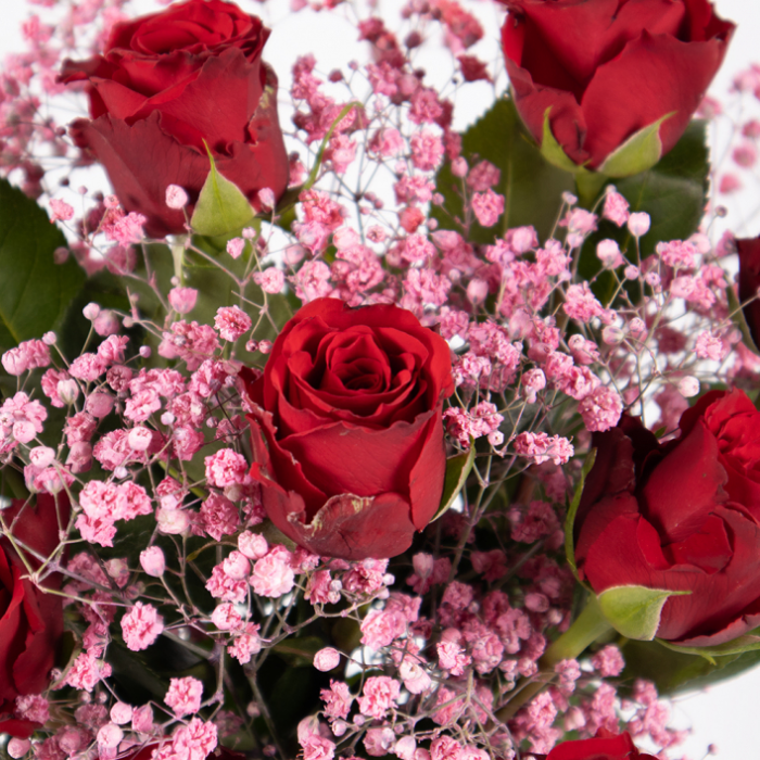 10 Red Roses (40cm) with Pink Gypsophila for Valentine's Day - Image 2